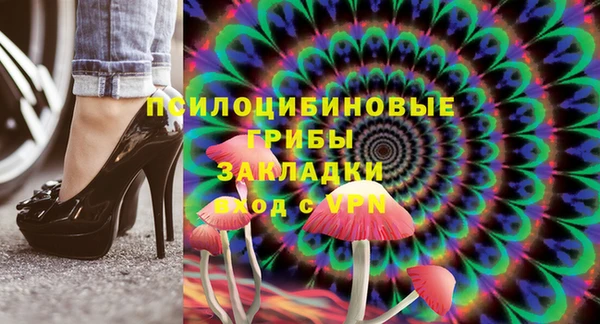 гидра Верхний Тагил
