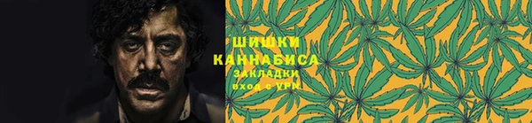 гидра Верхний Тагил