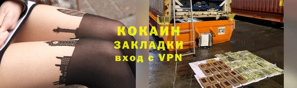гидра Верхний Тагил