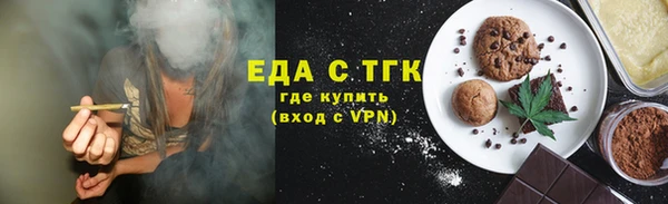 гидра Верхний Тагил