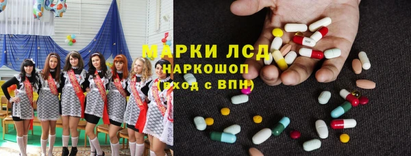 ПСИЛОЦИБИНОВЫЕ ГРИБЫ Верея