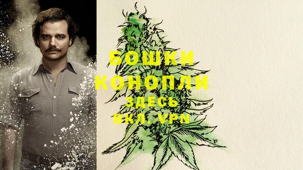 гидра Верхний Тагил