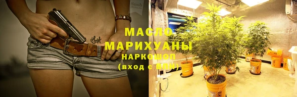 гидра Верхний Тагил