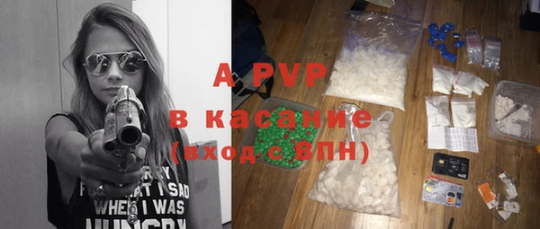ПСИЛОЦИБИНОВЫЕ ГРИБЫ Верея